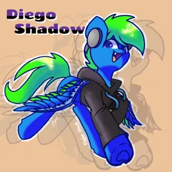 Size: 1080x1080 | Tagged: safe, artist:flower-black, derpibooru import, oc, oc:diego shadow, pegasus, pony, clothes, flying, hoodie, image, png, signature, solo, spread wings, underhoof, wings