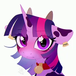 Size: 3000x3000 | Tagged: safe, artist:rtootb, derpibooru import, twilight sparkle, cow, cow pony, pony, unicorn, g4, bell, bell collar, blushing, bust, closed mouth, collar, cowified, cute, digital art, ear tag, ears, embarrassed, female, high res, horns, image, jpeg, looking at you, mare, moo, no shading, portrait, purple eyes, simple background, solo, species swap, twilight sparcow