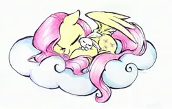 Size: 2707x1722 | Tagged: safe, artist:liaaqila, derpibooru import, angel bunny, fluttershy, pegasus, pony, rabbit, g4, animal, cloud, commission, cute, duo, duo male and female, eyes closed, female, high res, image, jpeg, lying down, male, mare, on a cloud, shyabetes, signature, simple background, sleeping, traditional art, white background, wings