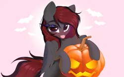 Size: 4096x2560 | Tagged: safe, artist:kebchach, derpibooru import, oc, oc:se solar eclipse, unofficial characters only, bat, pegasus, pony, :p, commission, eyelashes, female, fluffy mane, gray coat, halloween, halloween 2023, holiday, image, jack-o-lantern, looking at you, mare, mare oc, nightmare night, pegasus oc, pink background, png, pony oc, pose, pumpkin, purple eyes, red and black mane, shading, simple background, solo, tongue out, wings