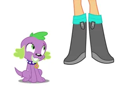 Size: 948x684 | Tagged: safe, anonymous artist, anonymous editor, derpibooru import, edit, scootaloo, spike, dog, human, equestria girls, g4, clothes, eyes on the prize, image, legs, pictures of legs, png, shoes, simple background, sneakers, white background