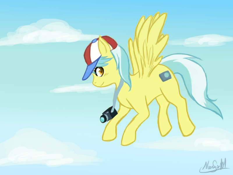 Size: 1024x768 | Tagged: artist needed, safe, derpibooru import, tracy flash, pegasus, g4, camera, cloud, flying, hat, image, png, signature, sky