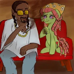 Size: 4096x4096 | Tagged: safe, artist:funnytrickytrixie, derpibooru import, tree hugger, earth pony, human, pony, g4, couch, drugs, duo, female, image, jpeg, male, mare, marijuana, smoking, snoop dogg