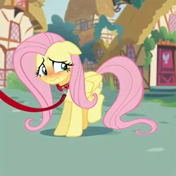 Size: 4096x4096 | Tagged: prompter needed, safe, ai content, derpibooru import, machine learning generated, stable diffusion, fluttershy, pegasus, pony, g4, blushing, collar, embarrassed, female, femsub, floppy ears, flutterpet, fluttersub, generator:purplesmart.ai, image, leash, looking away, looking back, mare, pet play, png, ponyville, submissive