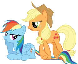 Size: 3679x3000 | Tagged: safe, artist:cloudy glow, derpibooru import, applejack, rainbow dash, earth pony, pegasus, pony, fall weather friends, g4, .ai available, cowboy hat, duo, duo female, female, hat, high res, image, mare, png, simple background, stetson, transparent background, vector