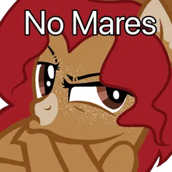 Size: 768x768 | Tagged: safe, artist:lordlyric, derpibooru import, oc, oc:maplelasso, unofficial characters only, earth pony, pony, country, female, image, mare, megamind, meme, no bitches?, png, simple background, solo, transparent background