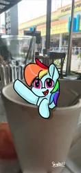 Size: 567x1200 | Tagged: safe, artist:skylinepony_, derpibooru import, rainbow dash, pegasus, pony, g4, cup, cup of pony, female, hoof in air, image, irl, jpeg, mare, micro, open mouth, open smile, photo, ponies in real life, real life background, smiling, solo, waving