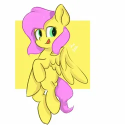 Size: 1672x1672 | Tagged: safe, artist:skylinepony_, derpibooru import, fluttershy, pegasus, pony, g4, female, image, jpeg, mare, open mouth, open smile, passepartout, signature, smiling, solo