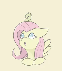 Size: 1963x2237 | Tagged: safe, artist:tkshoelace, derpibooru import, fluttershy, bird, pegasus, pony, g4, bust, duo, image, looking up, o mouth, png, simple background, spread wings, wings