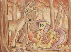 Size: 6802x4928 | Tagged: safe, artist:the-wizard-of-art, derpibooru import, fluttershy, deer, pegasus, pony, g4, absurd resolution, antlers, basket, buck, bush, cloven hooves, duo, duo male and female, female, flower, folded wings, forest, image, jpeg, looking at each other, looking at someone, male, mare, nature, outdoors, profile, raised hoof, side view, stag, tail, traditional art, tree, unshorn fetlocks, watercolor painting, whitetail deer, whitetail woods, wings