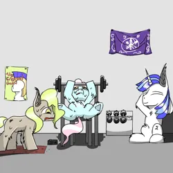 Size: 1500x1500 | Tagged: safe, artist:icycrymelon, derpibooru import, shining armor, oc, earth pony, pony, unicorn, g4, dumbbells, flag, gym, horn, image, male, png, poster, relaxing, smiling, sweat, trio