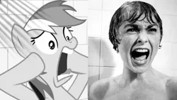 Size: 1192x670 | Tagged: safe, artist:thetremendousmario, derpibooru import, rainbow dash, human, pegasus, pony, alfred hitchcock, black and white, female, grayscale, image, janet leigh, jpeg, mare, marion crane, monochrome, movie reference, psycho, screaming, shower, side by side