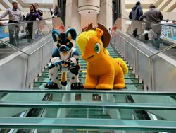 Size: 4032x3024 | Tagged: safe, artist:wildransom, derpibooru import, applejack, earth pony, human, g4, duo, furry, fursuit, image, indoors, irl, irl human, jpeg, photo, ponysuit, quadsuit, spookyjack, stairs