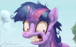 Size: 2560x1601 | Tagged: safe, artist:musical ray, derpibooru import, twilight sparkle, pony, unicorn, g4, lesson zero, female, hi girls, horn, image, mare, png, spongebob close-up