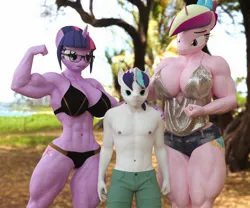 Size: 2048x1707 | Tagged: suggestive, artist:dashie116, ponerpics import, princess cadance, shining armor, twilight sparkle, anthro, 3d, bikini, breasts, clothes, female, glasses, image, jpeg, male, muscles, muscular female, size difference, swimsuit