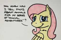 Size: 2048x1360 | Tagged: safe, artist:hoofclid, derpibooru import, fluttershy, pegasus, pony, g4, bust, cute, dialogue, image, jpeg, lidded eyes, marker drawing, shyabetes, solo, talking to viewer, traditional art