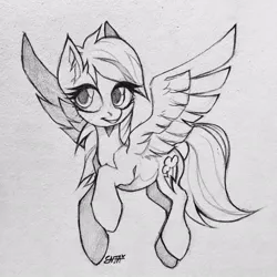 Size: 960x960 | Tagged: safe, artist:enjaadjital, derpibooru import, rainbow dash, pegasus, pony, g4, black and white, female, flying, grayscale, image, jpeg, mare, monochrome, pencil drawing, signature, simple background, sketch, smiling, solo, spread wings, traditional art, white background, wings