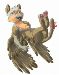 Size: 2015x2544 | Tagged: safe, artist:buttercupsaiyan, derpibooru import, oc, oc:thumbtack, gryphon, cute, eared griffon, flying, image, jpeg, sketch, study, thumbtack