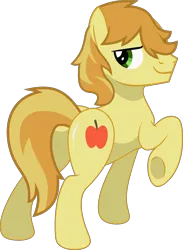 Size: 3193x4356 | Tagged: safe, artist:c1trine, artist:doraair, artist:jonesdylan874, artist:kishmond, artist:noxwyll, artist:stephen-fisher, derpibooru import, braeburn, earth pony, pony, g4, braebutt, butt, flank, image, looking at you, looking back, looking back at you, plot, png, raised hoof, sexy, shiny, simple background, transparent background, underhoof