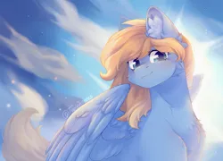 Size: 3206x2314 | Tagged: safe, artist:twinkesss, derpibooru import, oc, oc:lusty symphony, unofficial characters only, pegasus, pony, chest fluff, commission, ear fluff, female, image, mare, pegasus oc, png, smiling, wings