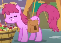 Size: 602x425 | Tagged: safe, derpibooru import, screencap, berry punch, berryshine, earth pony, pony, call of the cutie, g4, season 1, animation error, apple, cropped, female, food, image, mare, png, solo