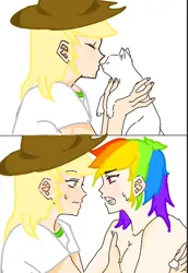 Size: 568x825 | Tagged: safe, artist:mint🌿, artist:xinjinjumin186758793974, derpibooru import, applejack, rainbow dash, cat, human, appledash, female, image, jpeg, lesbian, shipping