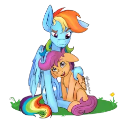 Size: 1306x1264 | Tagged: safe, artist:destiny_manticor, derpibooru import, rainbow dash, scootaloo, pegasus, pony, g4, bruised, collar, commission, cuddling, duo, duo female, female, filly, floppy ears, flower, foal, folded wings, grass, grass field, image, looking at each other, looking at someone, mare, multicolored hair, one ear down, png, rainbow hair, scootalove, sibling love, simple background, sisterly love, sitting, smiling, smiling at each other, transparent background, wings