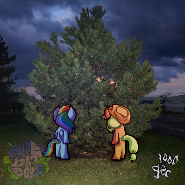 Size: 2092x2089 | Tagged: safe, artist:endercatcore, derpibooru import, applejack, rainbow dash, ponified, earth pony, pegasus, pony, g4, 100 gecs, album cover, duo, female, folded wings, image, png, ponified album cover, real life background, wings