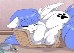 Size: 1100x778 | Tagged: safe, artist:arctic-fox, derpibooru import, oc, oc:snow pup, unofficial characters only, pegasus, pony, collar, image, jpeg, pegasus oc, sleeping, solo, wings