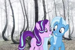 Size: 640x427 | Tagged: safe, artist:trrrebleee, artist:trrriple0dds, derpibooru import, edit, starlight glimmer, trixie, pony, unicorn, forest, horn, image, irl, meme, nature, photo, png, ponies in real life, real life background, stars, tree