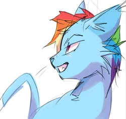 Size: 531x502 | Tagged: safe, artist:skypaw10, derpibooru import, rainbow dash, cat, blue fur, catified, grin, image, multicolored hair, png, rainbow cat, rainbow hair, rainbowcat, simple background, smiling, solo, species swap, teeth, white background