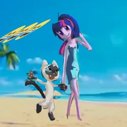 Size: 2000x2000 | Tagged: safe, artist:skypaw10, derpibooru import, twilight sparkle, cat, human, semi-anthro, equestria girls, g4, beach, humanized, image, jpeg, outdoors, walking