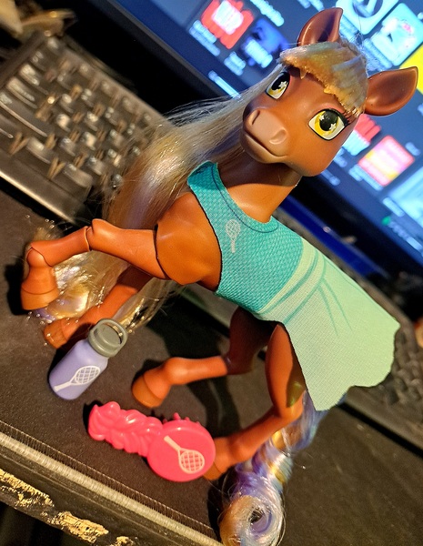 Size: 2998x3869 | Tagged: safe, derpibooru import, horse, barely pony related, brush, brushable, brushie, image, irl, jpeg, photo, tilly (wild manes), toy, water bottle, wild manes