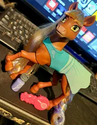 Size: 2998x3869 | Tagged: safe, derpibooru import, horse, barely pony related, brush, brushable, brushie, image, irl, jpeg, photo, tilly (wild manes), toy, water bottle, wild manes