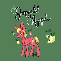 Size: 4096x4096 | Tagged: safe, artist:g-jnotes, derpibooru import, oc, oc:jonagold apple, earth pony, pony, absurd resolution, bucktooth, colt, foal, freckles, green background, image, male, name, offspring, parent:big macintosh, parent:cheerilee, parents:cheerimac, png, reference sheet, signature, simple background, solo