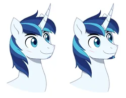 Size: 1280x1000 | Tagged: safe, artist:heilos, derpibooru import, shining armor, pony, unicorn, g4, bust, facial hair, goatee, horn, image, jpeg, male, portrait, simple background, smiling, solo, stallion