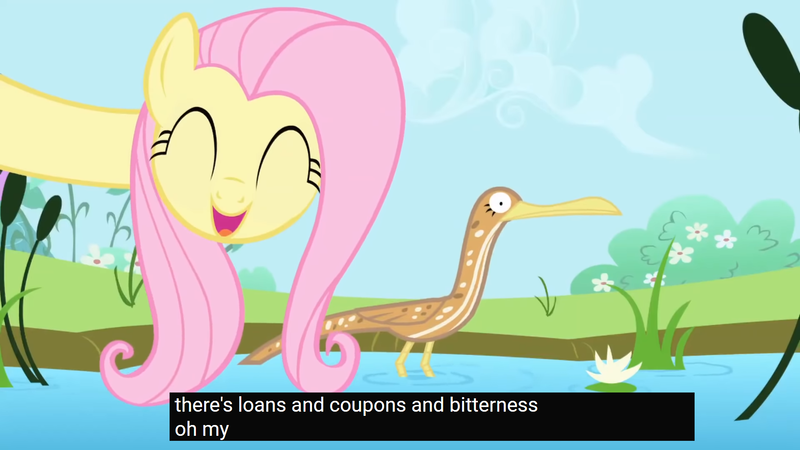 Size: 1920x1080 | Tagged: safe, derpibooru import, edit, edited screencap, screencap, fluttershy, bird, bittern, g4, the ticket master, caption, female, image, meme, png, text, youtube caption