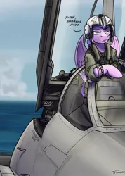 Size: 642x900 | Tagged: safe, artist:buckweiser, derpibooru import, oc, oc:plumeria petal, pegasus, pony, female, fighter pilot, fighter plane, helmet, image, jet, jet fighter, jpeg, mare, text