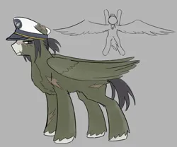 Size: 1701x1417 | Tagged: safe, artist:pain-jam-cookie, derpibooru import, oc, ponified, pegasus, pony, distant oceanic getaway, hat, image, jpeg, pegasus oc, scar, solo, torn ear, wings