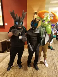 Size: 1536x2048 | Tagged: safe, artist:chainchomp2, artist:limeythecheetah, derpibooru import, thorax, changedling, changeling, clothes, convention, cosplay, costume, everfree northwest, fursuit, image, irl, jpeg, photo, trio