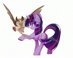 Size: 2735x2150 | Tagged: safe, artist:malt cat, derpibooru import, owlowiscious, twilight sparkle, bird, owl, pony, unicorn, g4, duo, duo male and female, female, horn, image, jpeg, male, mare, mouth hold, scroll, simple background, unicorn twilight, white background