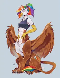 Size: 2478x3210 | Tagged: safe, artist:satway, derpibooru import, oc, oc:rainbow feather, unofficial characters only, gryphon, taur, clothes, cutie mark, griffon oc, griffontaur, image, interspecies offspring, magical lesbian spawn, next generation, offspring, parent:gilda, parent:rainbow dash, parents:gildash, png, solo