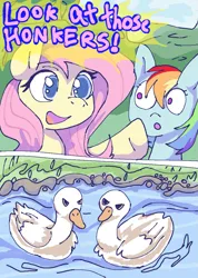 Size: 821x1154 | Tagged: safe, derpibooru import, fluttershy, rainbow dash, bird, goose, pegasus, pony, g4, 2 panel comic, :o, accidental innuendo, animal, colored, comic, dialogue, drawthread, female, geese, image, mare, open mouth, open smile, png, requested art, smiling, water