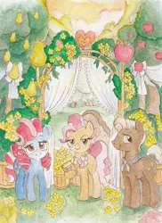 Size: 467x640 | Tagged: safe, artist:daisymane, derpibooru import, burnt oak, cup cake, mayor mare, earth pony, pony, g4, the perfect pear, apple, apple tree, female, food, image, jpeg, looking at you, male, mare, pear tree, stallion, traditional art, tree, trio, watercolor painting