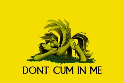 Size: 1280x854 | Tagged: safe, artist:meotashie, edit, rainbow dash, pegasus, pony, backwards cutie mark, blushing, chest fluff, cum inside rainbow dash, don't tread on me, female, flag, fluffy, gadsden flag, image, iwtcird, libertarian, mare, meme, png, simple background, smiling, solo, spread wings, stretching, wings, yellow background