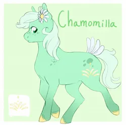 Size: 1730x1716 | Tagged: safe, artist:abbytabbys, derpibooru import, oc, oc:chamomilla, unofficial characters only, earth pony, pony, body freckles, border, coat markings, colored hooves, daisy (flower), earth pony oc, eyelashes, female, female oc, flower, flower in hair, flower in tail, freckles, frown, gradient legs, green background, green eyes, green mane, green tail, green text, hooves, image, jpeg, looking back, mare oc, mint mane, mint tail, old art, passepartout, raised hoof, raised leg, simple background, socks (coat marking), standing on two hooves, tail, unshorn fetlocks, yellow hooves