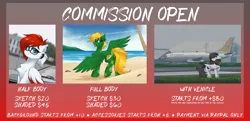 Size: 3235x1567 | Tagged: safe, artist:rieyadraws, derpibooru import, oc, oc:aerobeat, oc:jet blast, oc:turtle, unofficial characters only, earth pony, pegasus, advertisement, commission, commission info, image, looking at you, png, price sheet