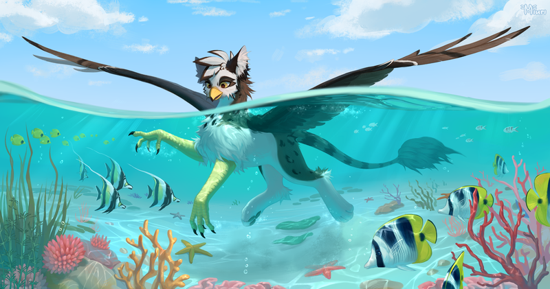 Size: 5700x3000 | Tagged: safe, artist:miurimau, derpibooru import, oc, unofficial characters only, fish, gryphon, absurd resolution, commission, coral, crepuscular rays, griffon oc, image, partially submerged, png, seaweed, solo, spread wings, swimming, underwater, water, wings