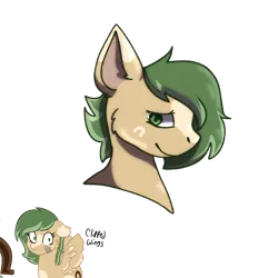 Size: 1280x1280 | Tagged: safe, artist:slyvester_skunk, derpibooru import, oc, oc:un-lucky charm, unofficial characters only, pegasus, pony, brown coat, bust, cutie mark, green mane, image, pegasus oc, png, portrait, simple background, solo, tan coat, transparent background, wings