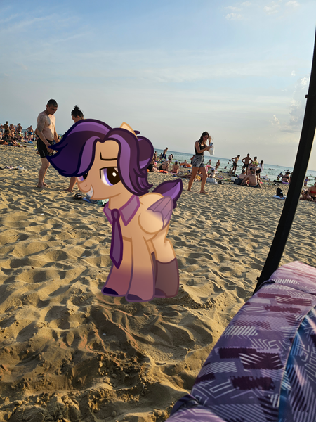 Size: 3000x4000 | Tagged: safe, derpibooru import, oc, unofficial characters only, human, pegasus, pony, g4, beach, clothes, female, grin, image, irl, irl human, looking at you, male, necktie, pegasus oc, photo, png, ponies in real life, smiling, smiling at you, wings